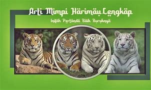 Mimpi Menangkap Harimau Togel